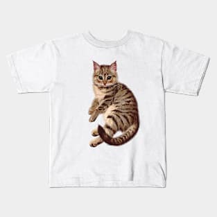 Pawsitive Adorable Tabby Kitten Kids T-Shirt